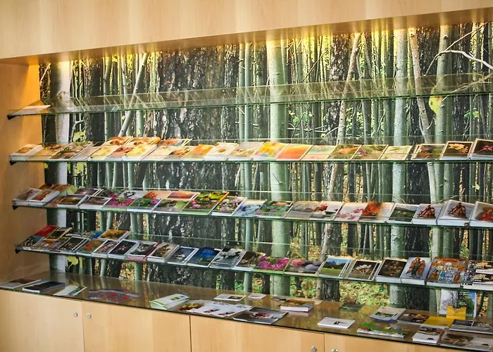 Haus Marillac Affittacamere Innsbruck